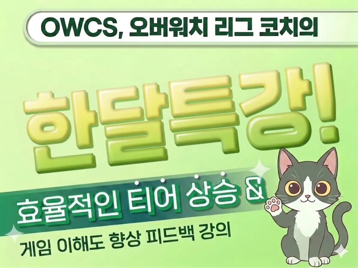 한달 특강